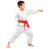 Improve your self-discipline at Kazoku Karate: The best martial art school in Greenville, South Caroline - Traditional Wado-Ryu classes and lessons for kids and adults