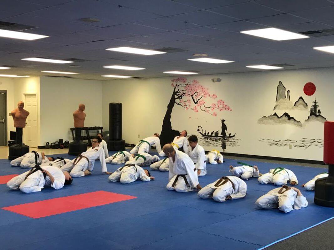 Karate classes training at Kazoku Karate Greenville, South Carolina martial arts for adults and athlete development training in USA