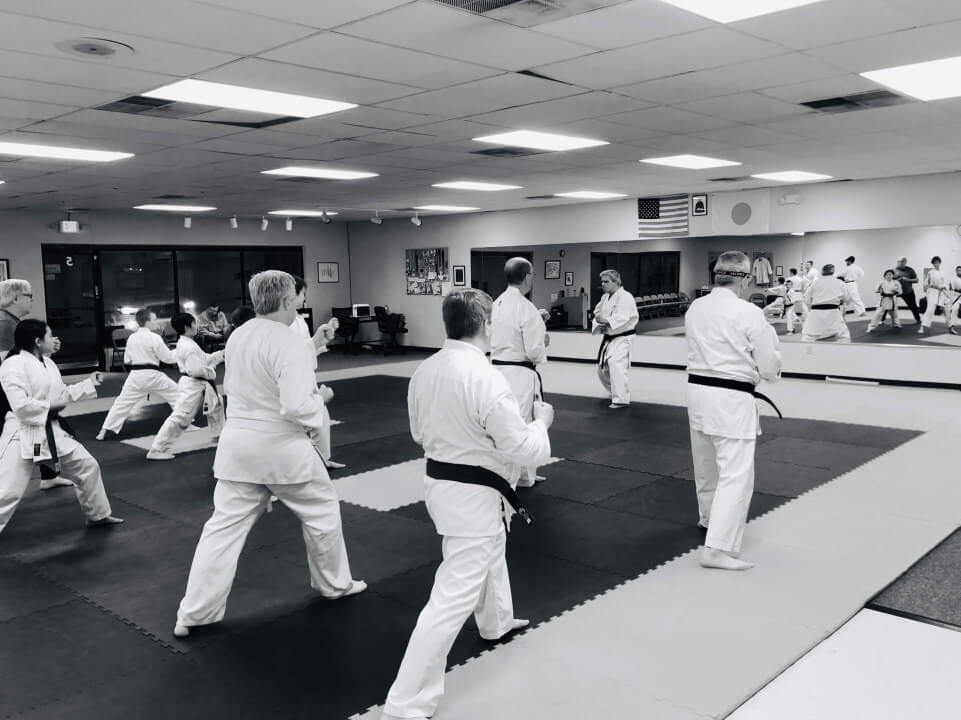 You are currently viewing Karate in Greenville, South Carolina