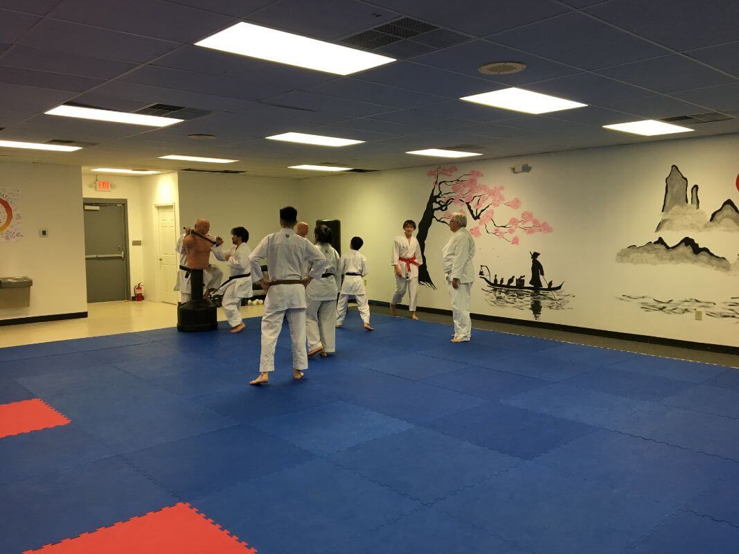Professional karate and Wado-Ryu classes for adults in Kazoku Karate Greenville, South Carolina - Martial arts clubs in United States